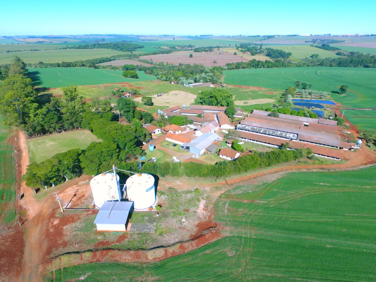 Foto aérea da Granja Peru - Arapongas PR